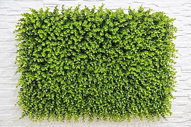 《大侠立志传：碧血丹心》正式版发售：那个神仙醋的江湖正在越来越有趣